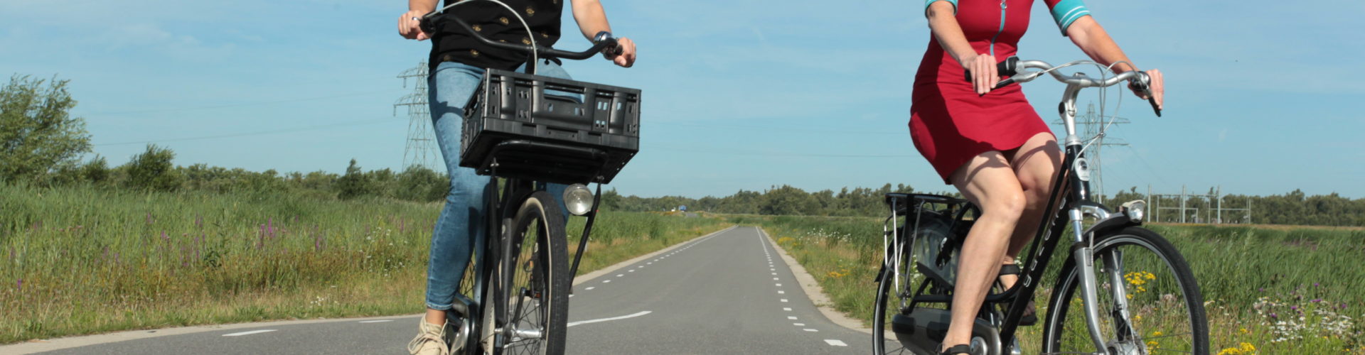 Fietsen door de Biesbosch