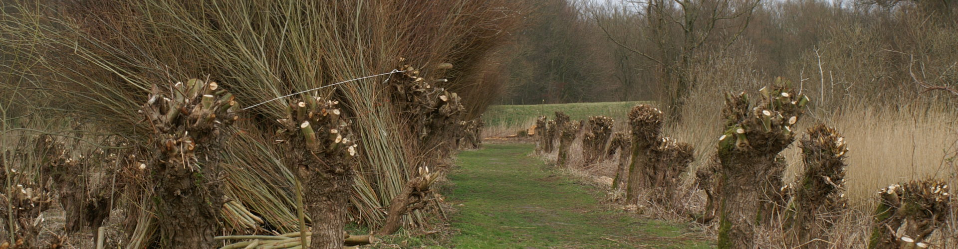 Wandelpad Pannekoek